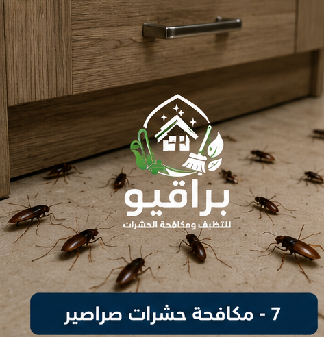 مكافحة الصراصير في الرياض