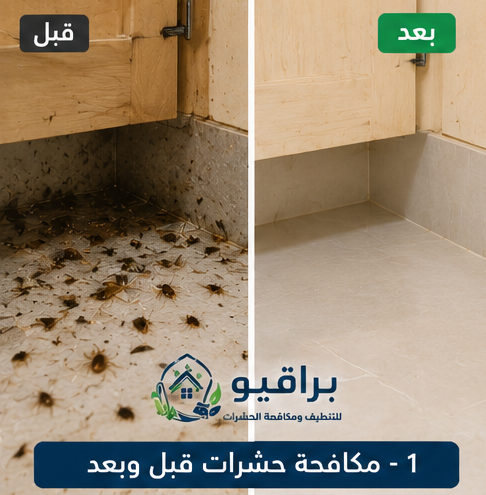 مكافحة حشرات قبل وبعد في الرياض