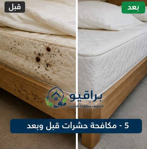 مكافحة فئران قبل وبعد
